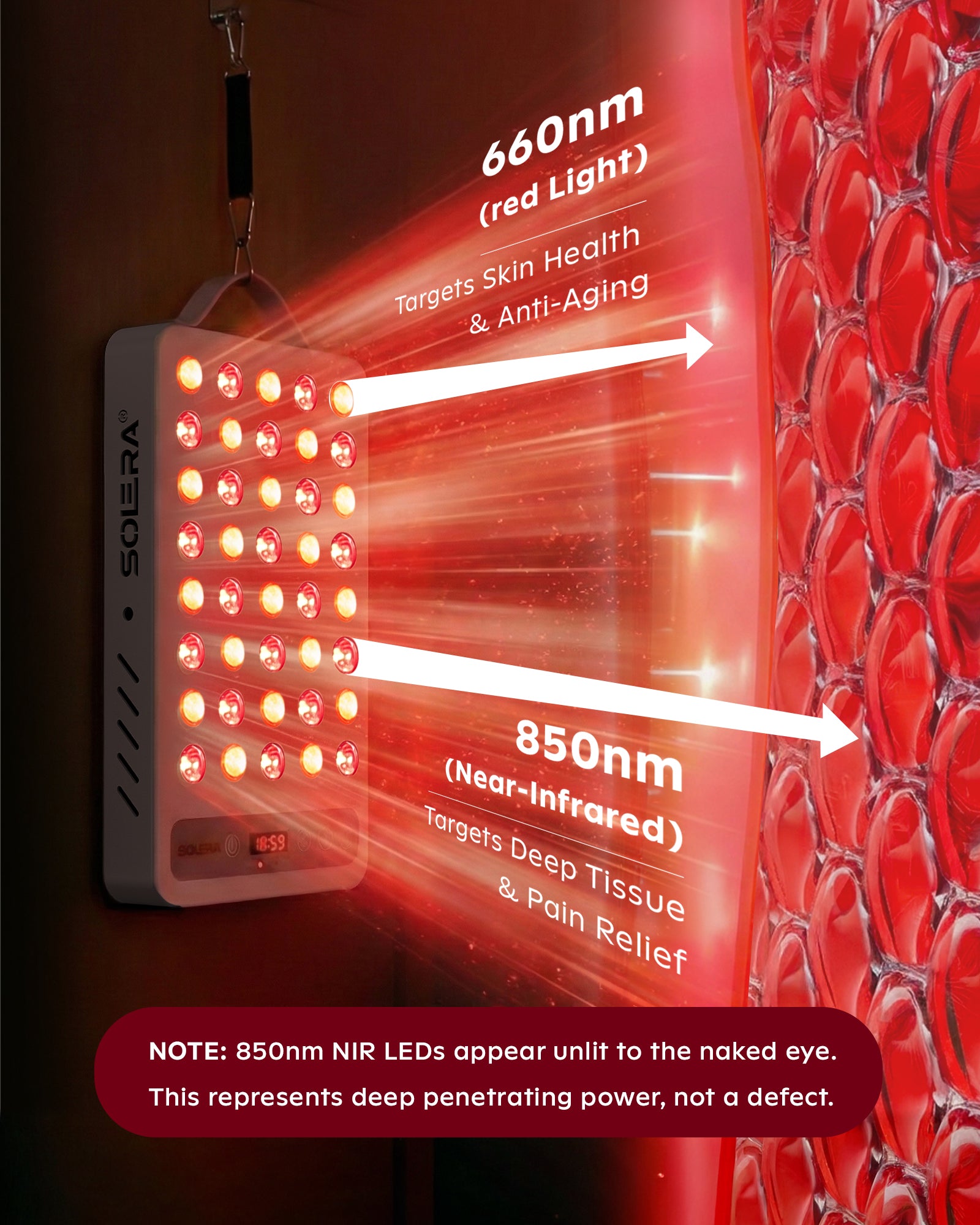 SOLRA Red Light Panel - 40 LED Professional System