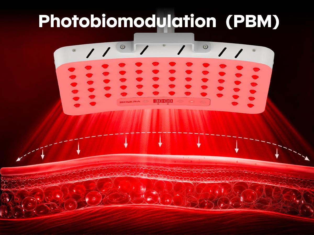 SOLRA portable red light panel illustration showing red light directed toward layered skin tissue